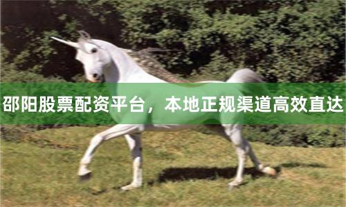 邵阳股票配资平台，本地正规渠道高效直达